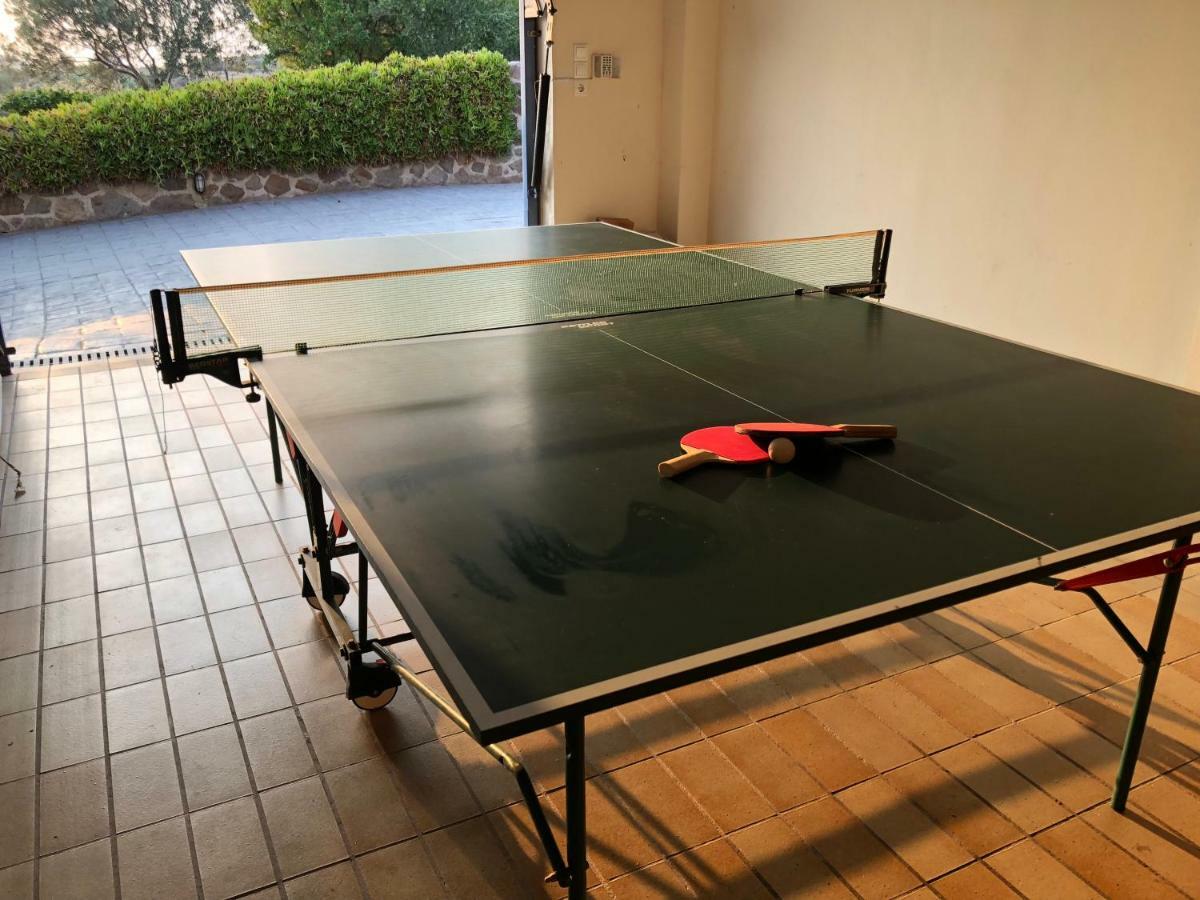 Alexander Villa بيرديكا المظهر الخارجي الصورة